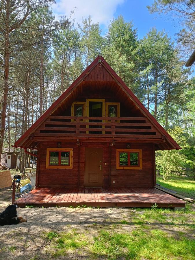 Holiday home Dom Sosnowy *